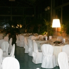 IMG_1144_copy