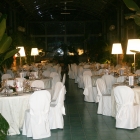 IMG_1140_copy