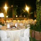 IMG_1139_copy
