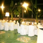 IMG_1124_copy