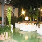 IMG_1142_copy