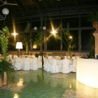 IMG_1126_copy