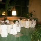 IMG_1128_copy