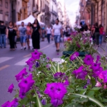 Maqueda