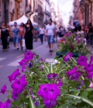 Maqueda