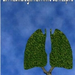 Pneumologia_2004002